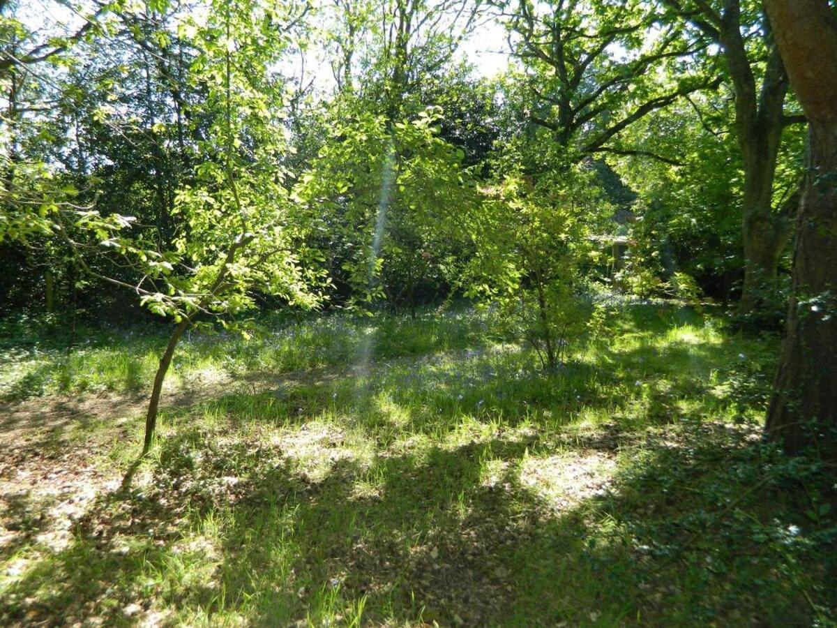 River Cottage A Country Retreat In Wooded Gardens East Stoke  Exteriör bild